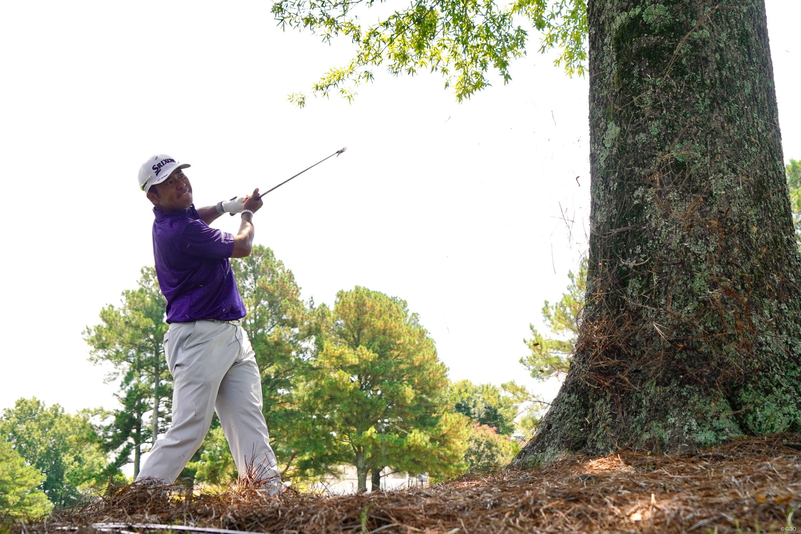 第3ラウンドの17番では右サイドからの第2打でスーパーショットを披露