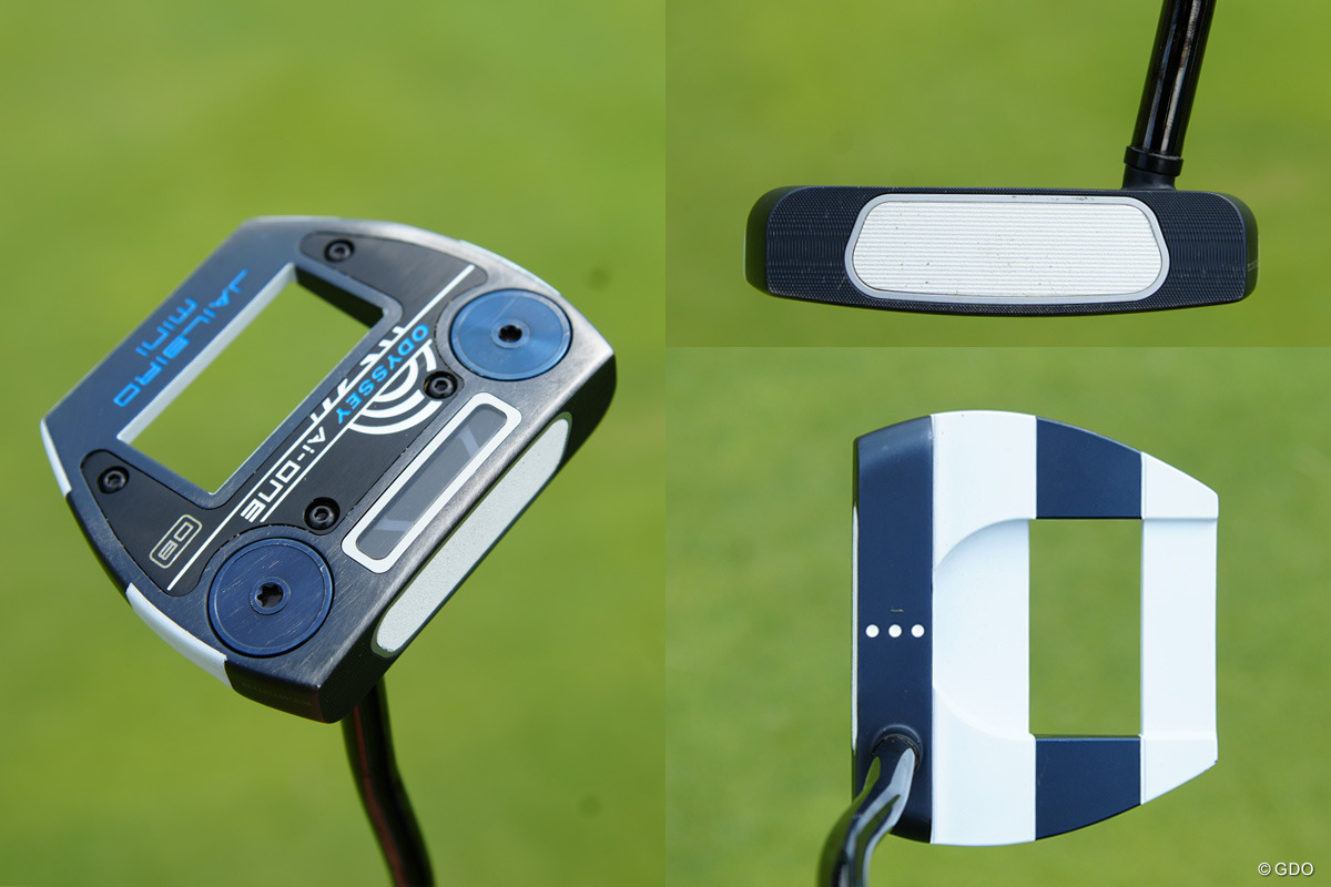 ジェイルバードの縞々が好き