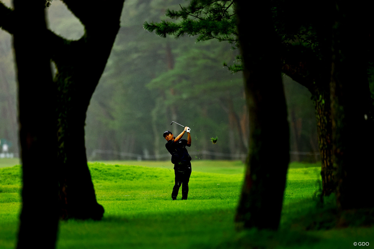 マスターズ切符が欲しい