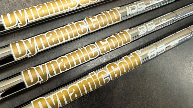 中古で探る「DG」の魅力