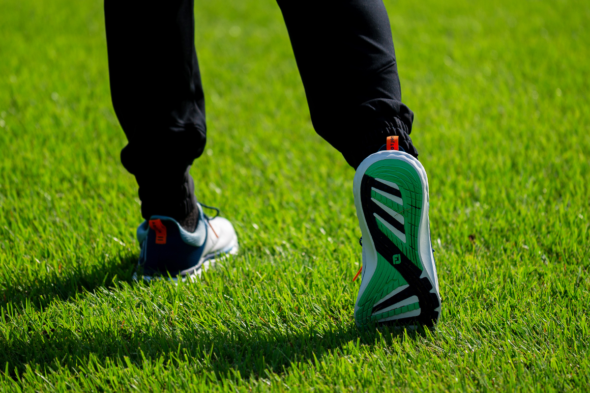 硬・重」から「軽・柔」にアプデ！ カートに乗らず歩きたくなるっ