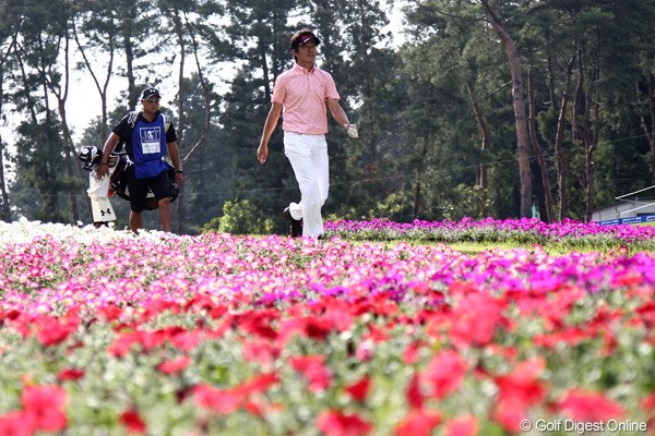 2011年 日本ゴルフツアー選手権 Citibank Cup Shishido Hills 3日目 山下和宏 このお花畑は最終18番、とてもきれいです。