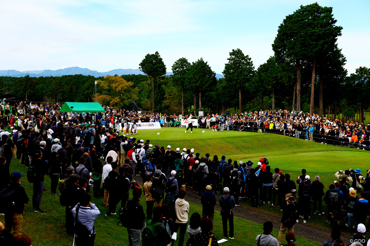 連日の裏街道もこのギャラリー