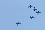2025年 樋口久子 三菱電機レディスゴルフトーナメント 最終日 コース