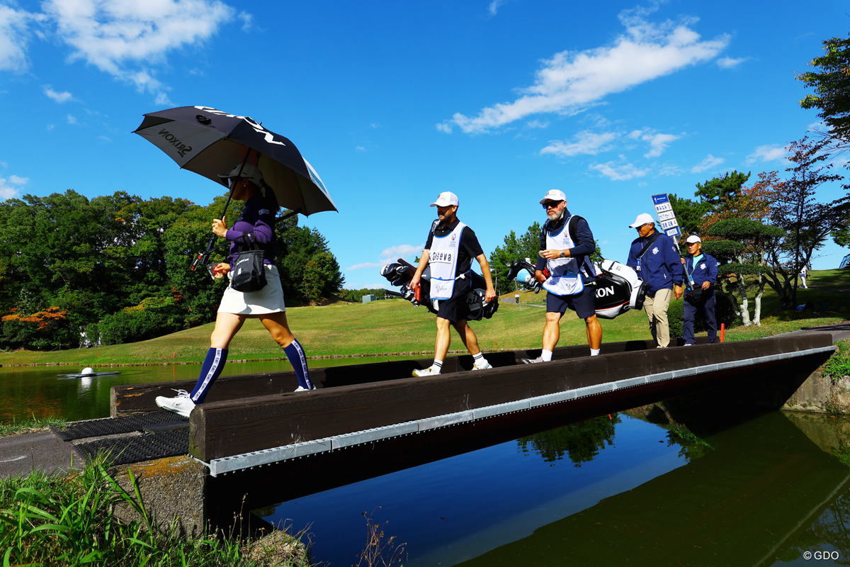 みなみちゃんがゆく