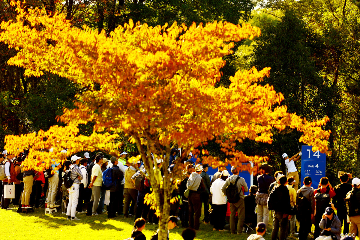 大ギャラリーに囲まれて