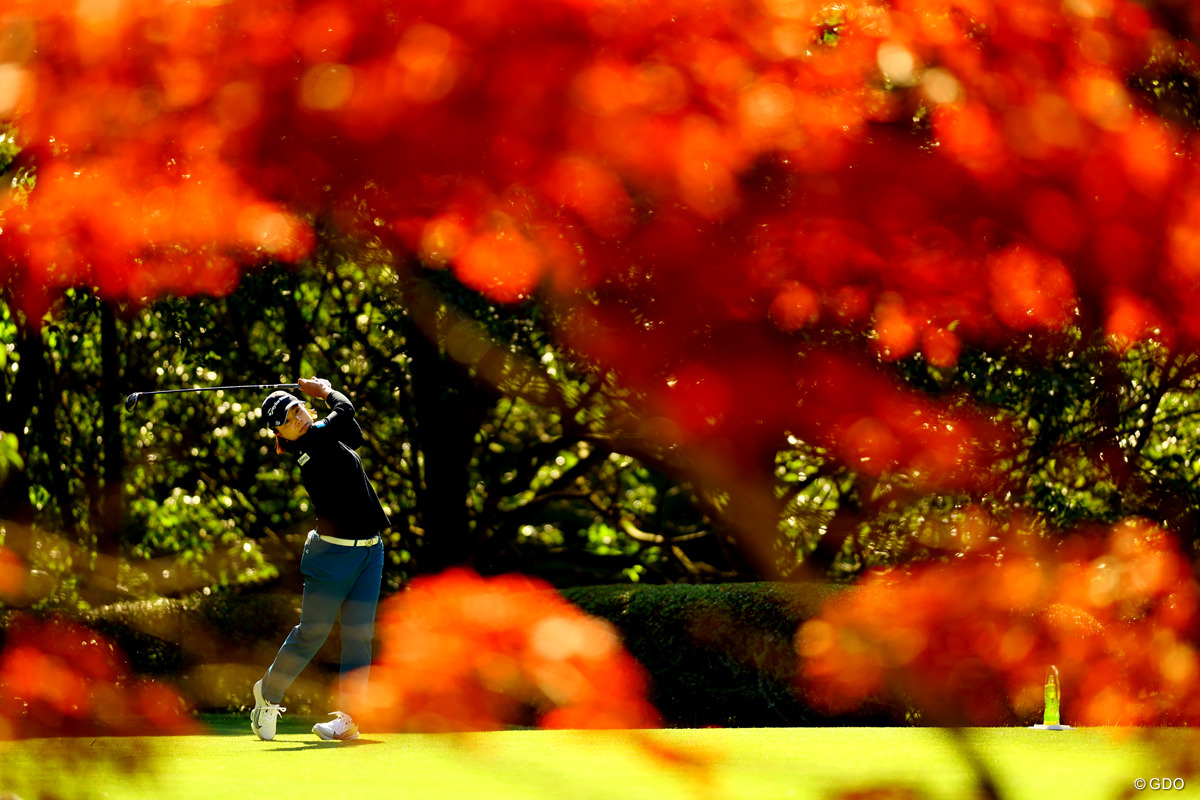 色づくグレートアイランド