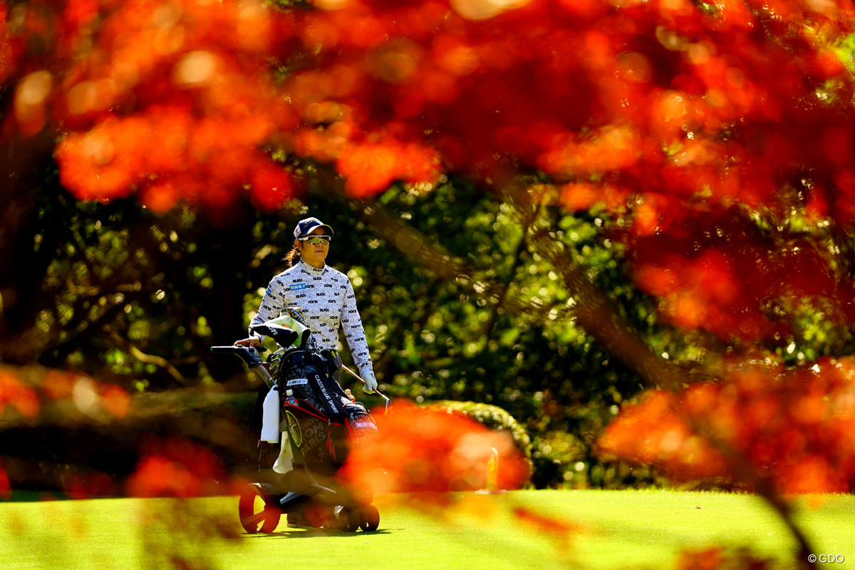 紅葉をゆく 2025年 伊藤園レディスゴルフトーナメント 2日目 川岸史果