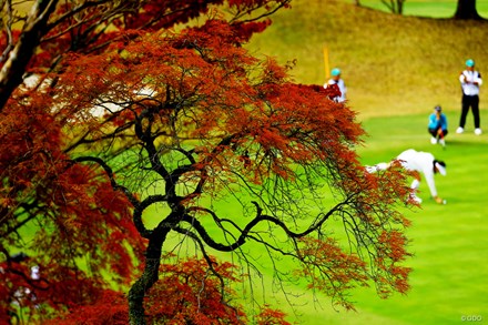 2025年 伊藤園レディスゴルフトーナメント 最終日 脇元華