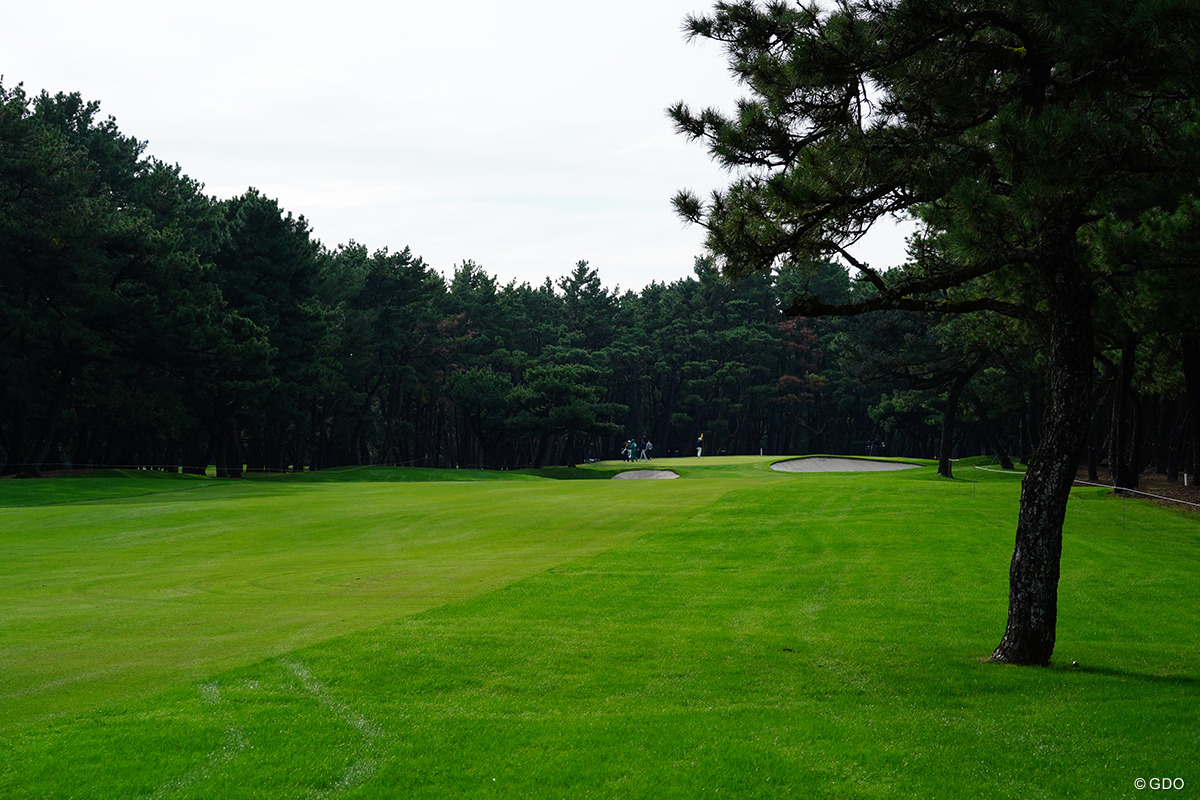 右サイドからは木が気になる