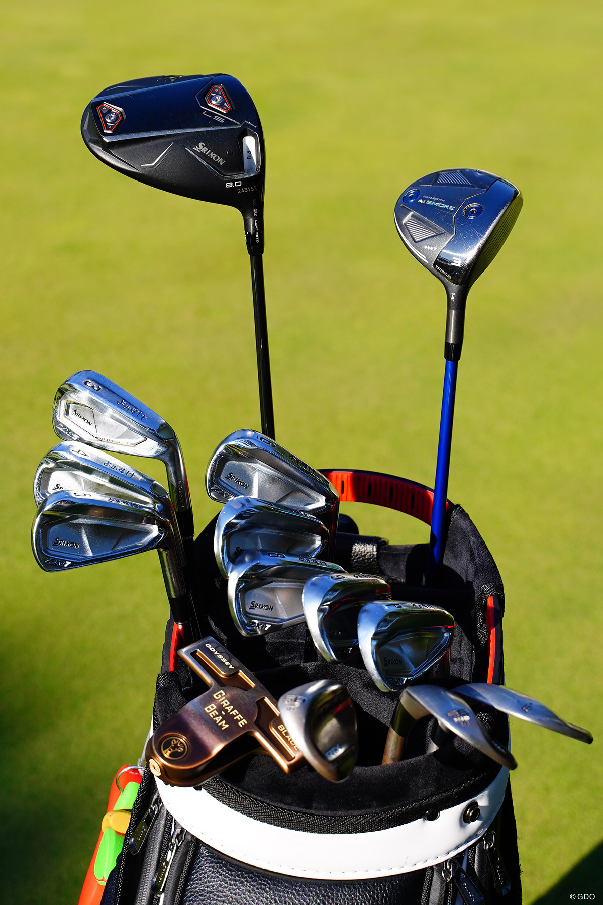 希少　BEDARADのシッティング・ダック ゴルフ立体オブジェ 希少 BEDARADのシッティング・ダック ゴルフ立体オブジェ