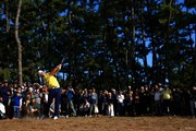 2025年 ダンロップフェニックストーナメント 最終日 松山英樹