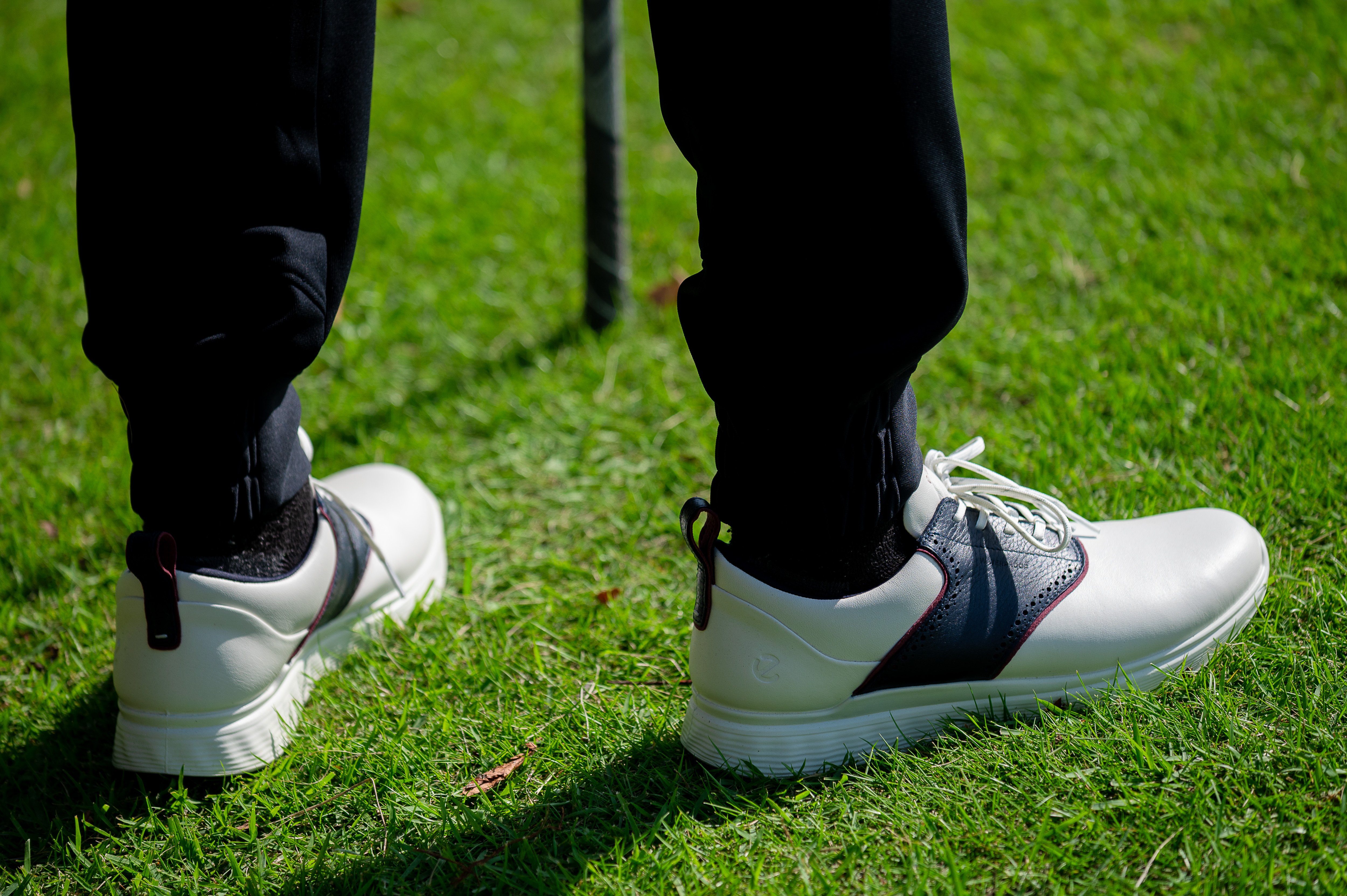 サドルタイプの見た目も履き心地も“お値段以上” エコー「S-カジュアル