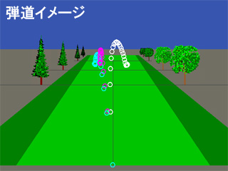 栄川さん弾道イメージ 