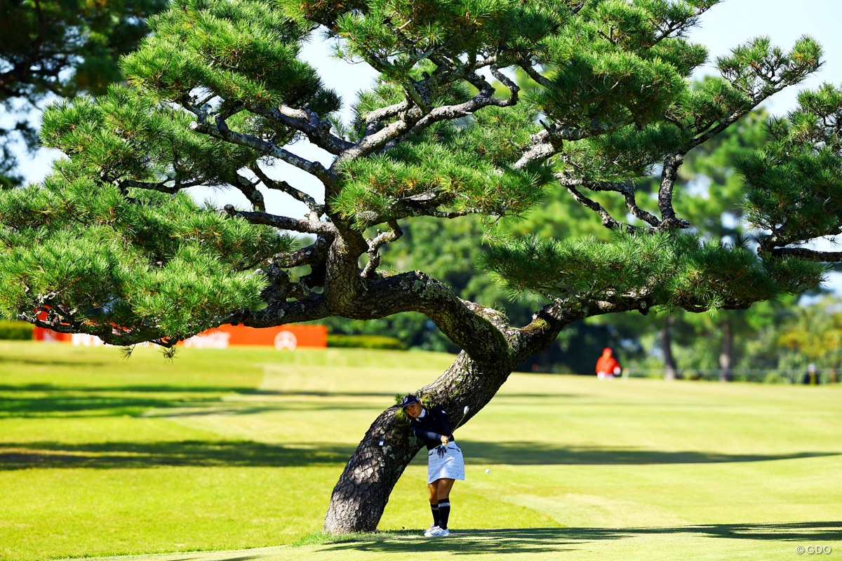 松と一体化 2025年 JLPGAツアーチャンピオンシップリコーカップ 2日目 吉田優利