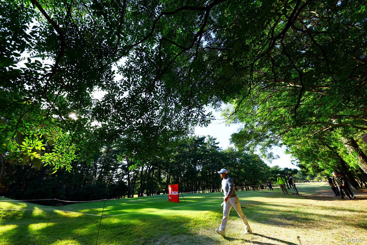 2025年 JLPGAツアーチャンピオンシップリコーカップ 2日目 申ジエ
