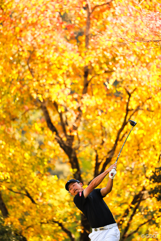 紅葉バック 2025年 カシオワールドオープンゴルフトーナメント 2日目 岩崎亜久竜