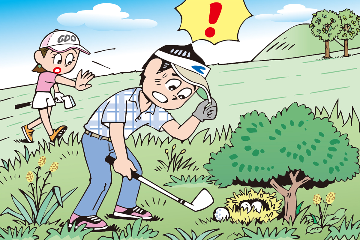 鳥の巣の近くにボールが止まったら…打っちゃダメだよね？／ルールQ&A