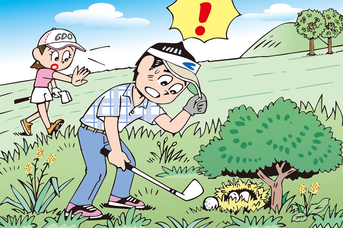 鳥の巣の近くにボールが止まったら…打っちゃダメだよね？／ルールQ&A