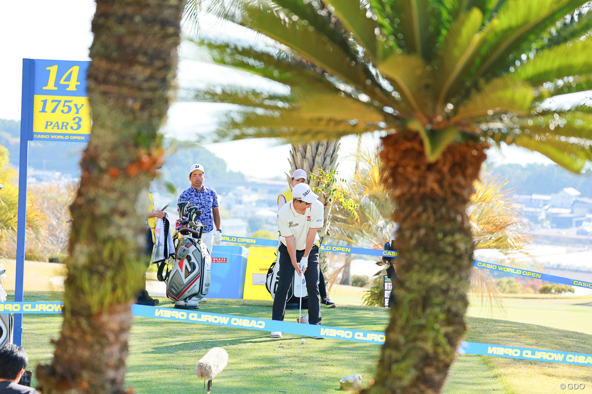 ヤシの木の隙間から 2025年 カシオワールドオープンゴルフトーナメント 最終日 ソン・ヨンハン