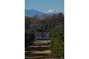 2025年 ゴルフ日本シリーズJTカップ 最終日 1番ホール