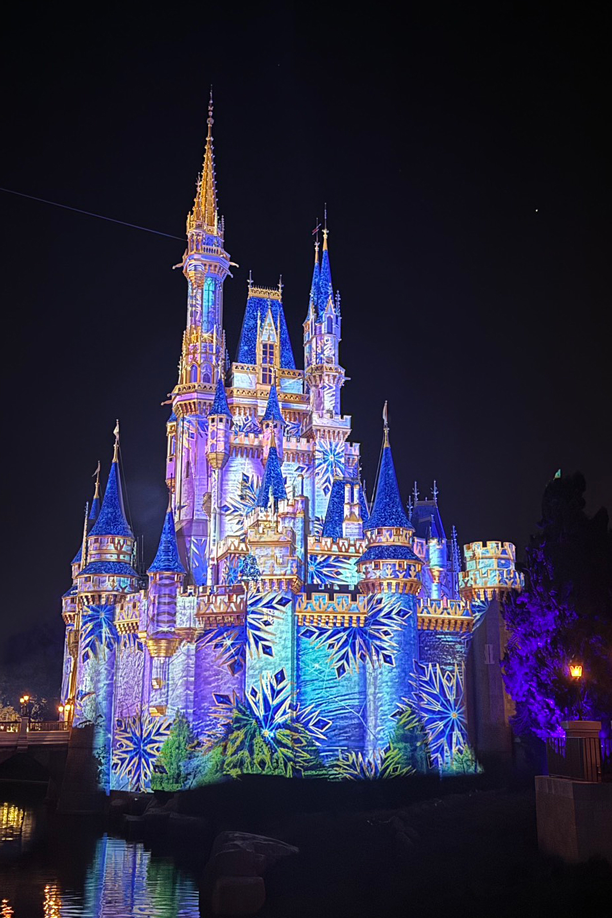 最終戦の後にフロリダのディズニーワールドへ（提供画像）