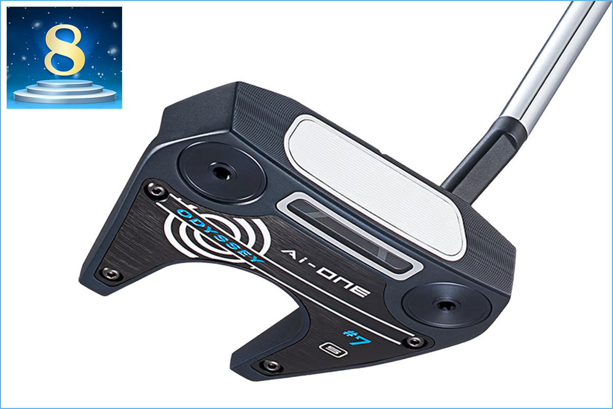 2025年》パター部門アクセス数ランキング／話題のゼロトルクが上位