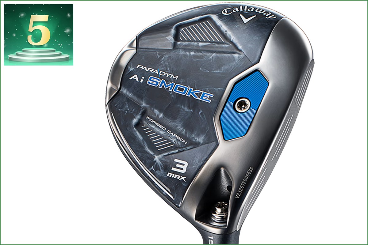 《2025年》FW部門アクセス数ランキング／無双テーラーにピン&コブラが肉薄