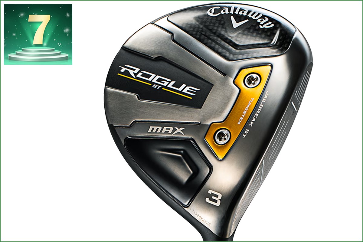 《2025年》FW部門アクセス数ランキング／無双テーラーにピン&コブラが肉薄