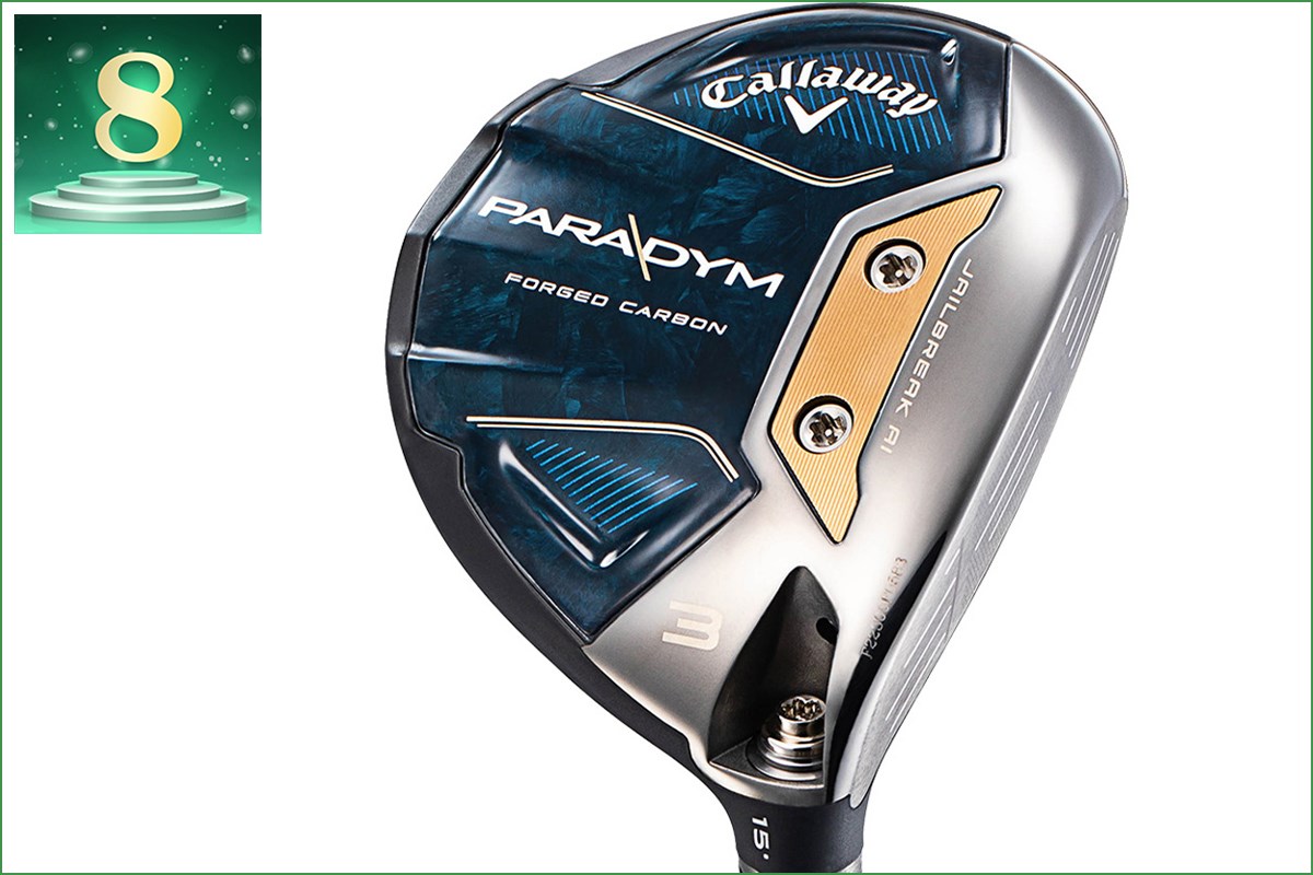 《2025年》FW部門アクセス数ランキング／無双テーラーにピン&コブラが肉薄