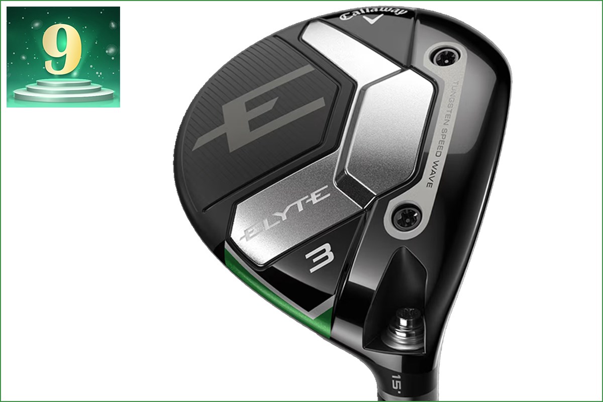 《2025年》FW部門アクセス数ランキング／無双テーラーにピン&コブラが肉薄