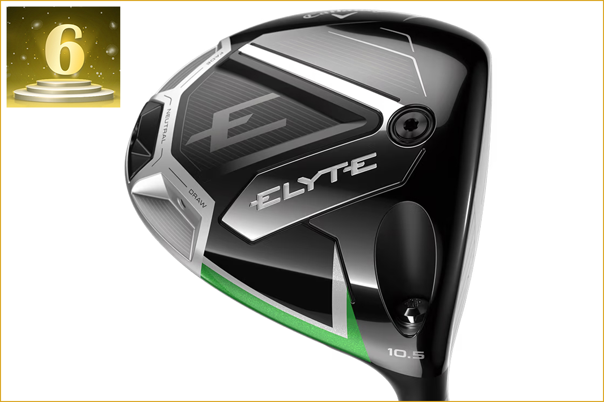 2025年》ドライバー部門アクセス数ランキング／テーラーvsキャロに割っ