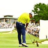 PGAツアーが26年秋季シリーズ日程発表 日本開催「ベイカレント」は10月8日開幕