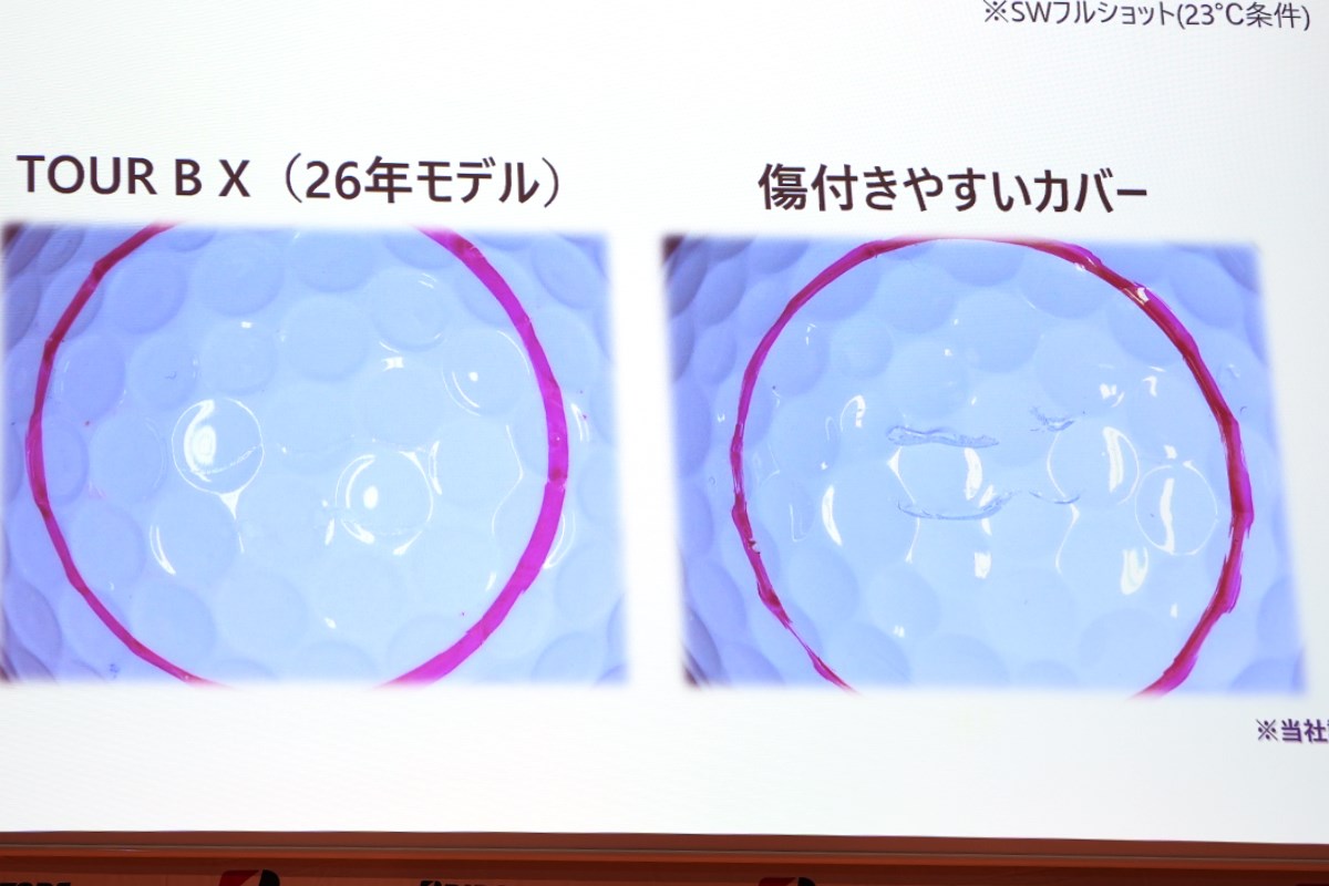 ツアーB新作レポ