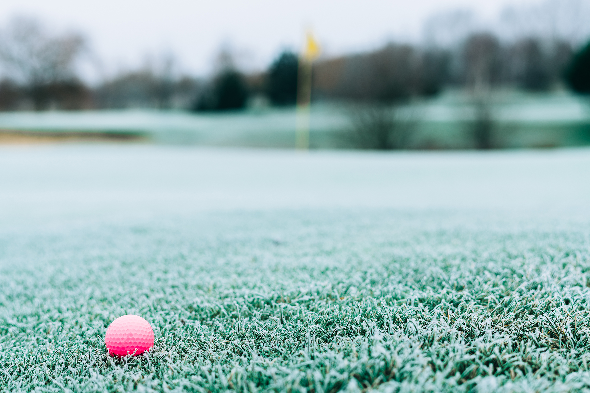 “最強最長寒波”が今週末から再びピークに 「営業orクローズ」 支配人を悩ます4つの判断基準