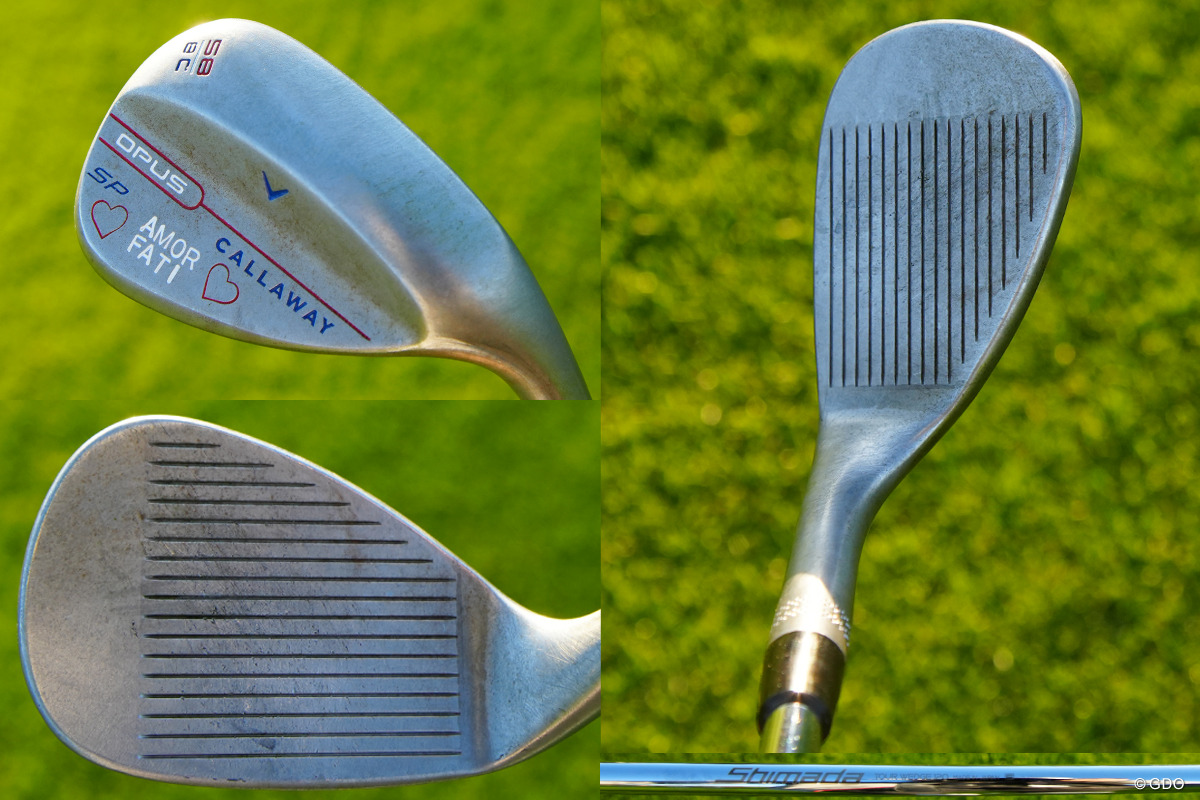 OPUSウェッジを昨年から使用