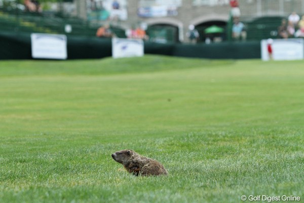 2011年 ウェグマンズLPGAチャンピオンシップ 初日 モグラ