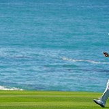 ティショット乱調の原因「なんとなーく分かってる」 松山英樹はプレーオフ惜敗も糧に