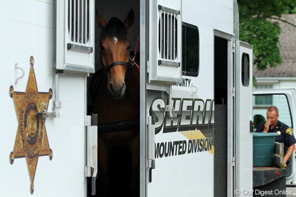 2011年 ウェグマンズLPGAチャンピオンシップ 2日目 警察馬 ちゃんと専用の警察車両に乗って出勤です