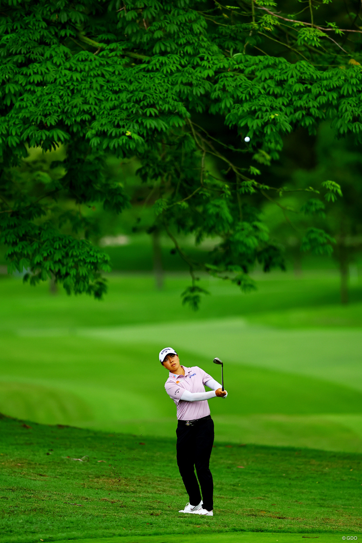 アプローチショットを放つ 2026年 HSBC女子世界選手権 初日 笹生優花