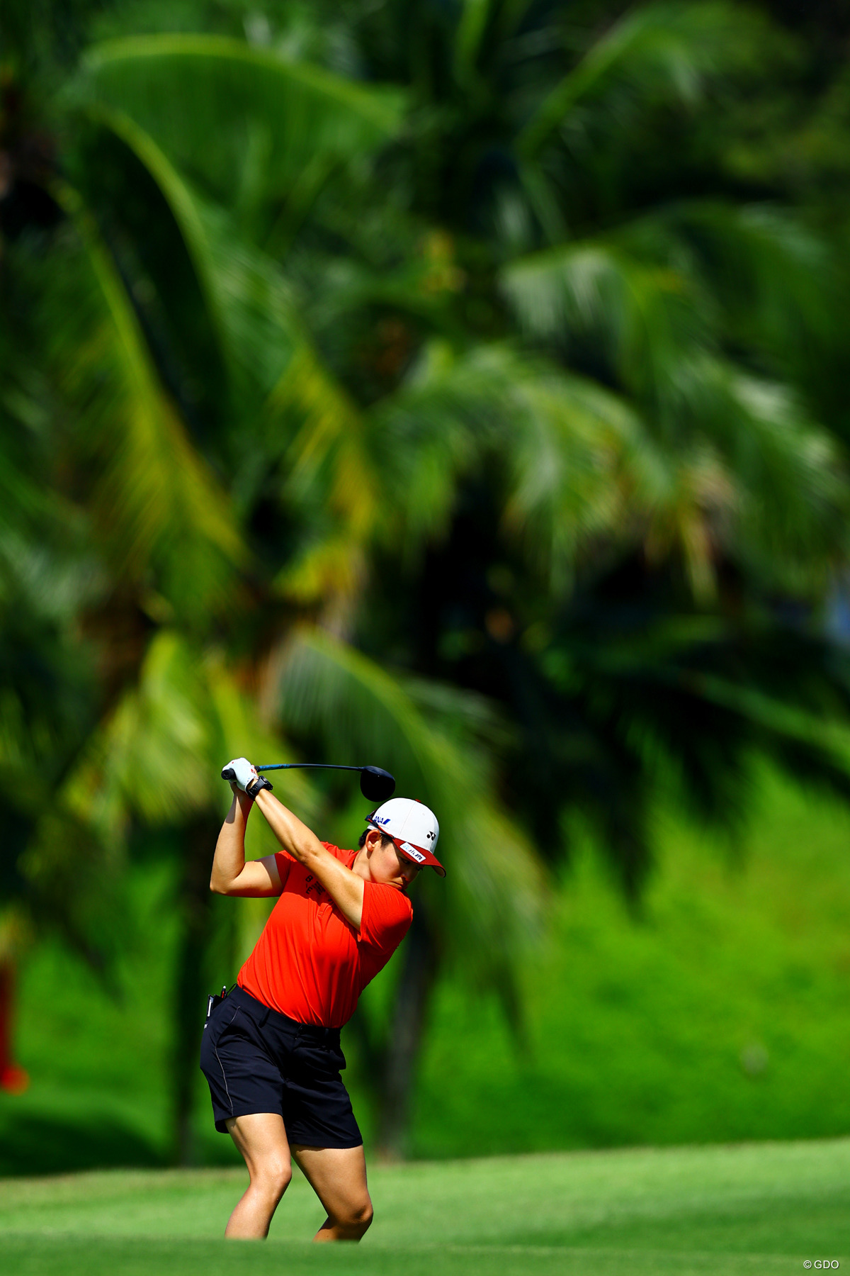 生い茂る木々 2026年 HSBC女子世界選手権 最終日 岩井明愛