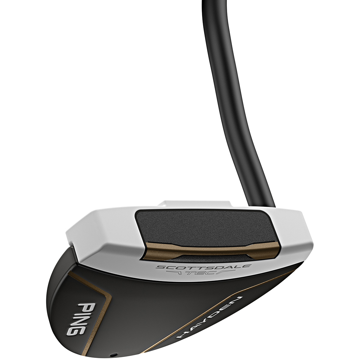 ピン 2021 タインC パターの試打レビュー 口コミ・評価 ギアスペック