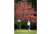 2026年 アクサレディスゴルフトーナメントinMIYAZAKI 2日目 藤本愛菜