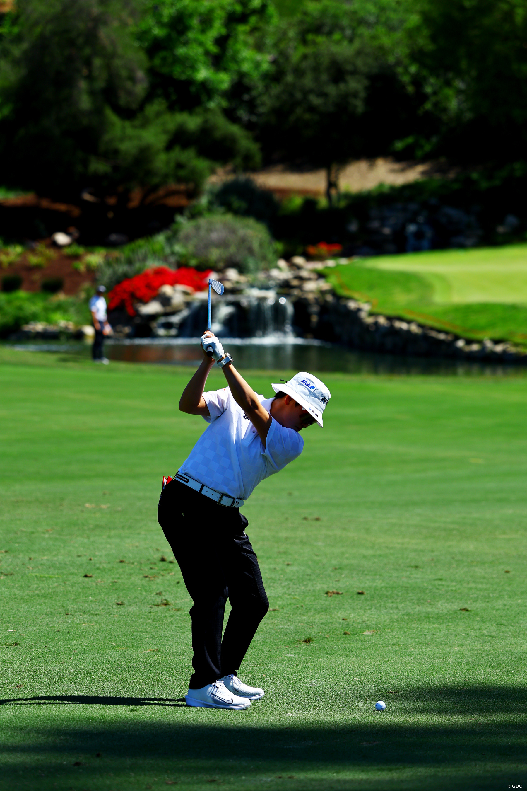 トップ 2026年 JMイーグルLA選手権 事前 岩井明愛