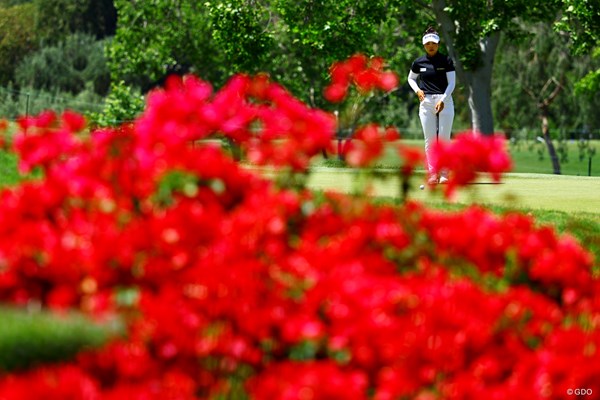2026年 JMイーグルLA選手権 3日目 山下美夢有 難しいパッティングを残すシーンも散見