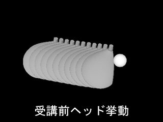 鳥澤さんヘッド挙動受講前 