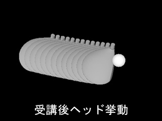 鳥澤さんヘッド軌道受講後 