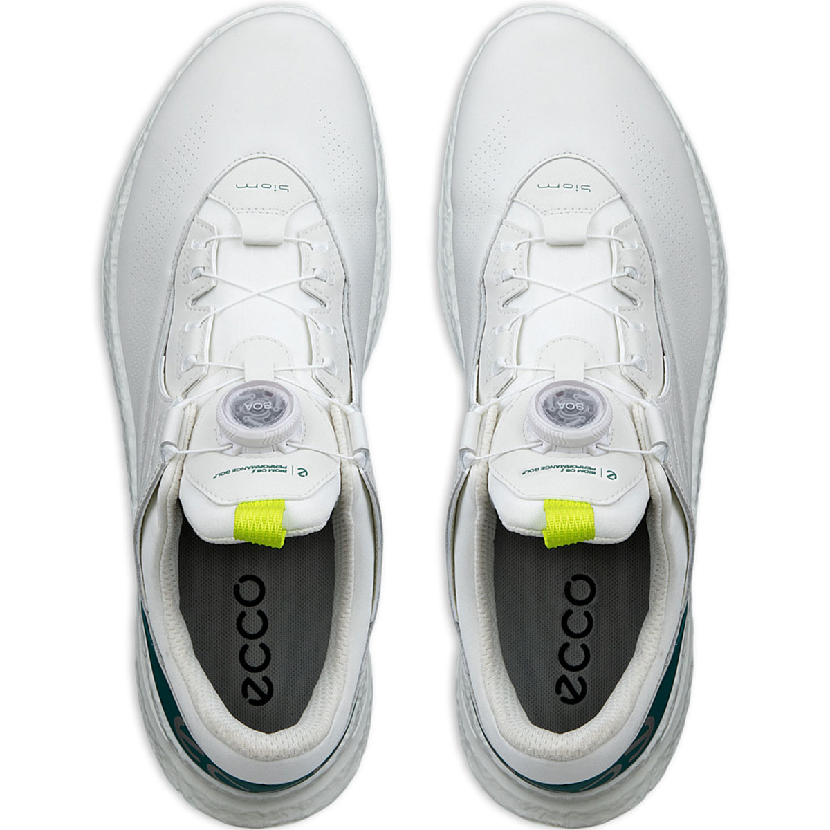 ecco BIOM C5 BOA シューズの試打レビュー 口コミ・評価 ギアスペック