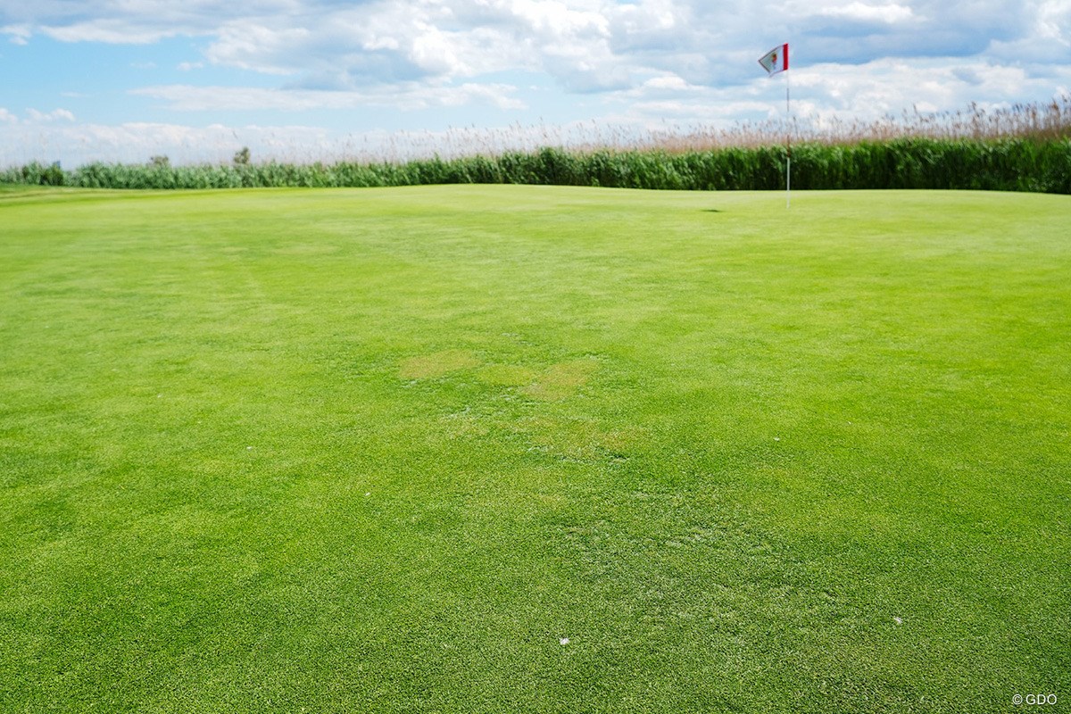 2026年 ショップライトLPGA 事前 コース