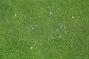 2026年 ショップライトLPGA 事前 コース